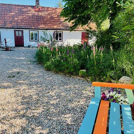 Mjöhult Trennegarden B&B المظهر الخارجي الصورة